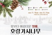 '꽃보다 아름다운 열매, 호랑가시나무 특별전시회' 개최