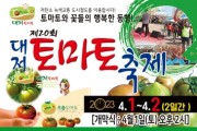 부산 강서구 제20회 대저토마토축제 개최