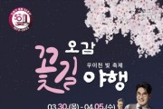'오감 꽃길 야행' 우이천 빛 축제 개최