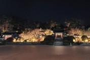 커피축제기간 오죽헌·시립박물관 야간운영