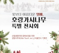'꽃보다 아름다운 열매, 호랑가시나무 특별전시회' 개최